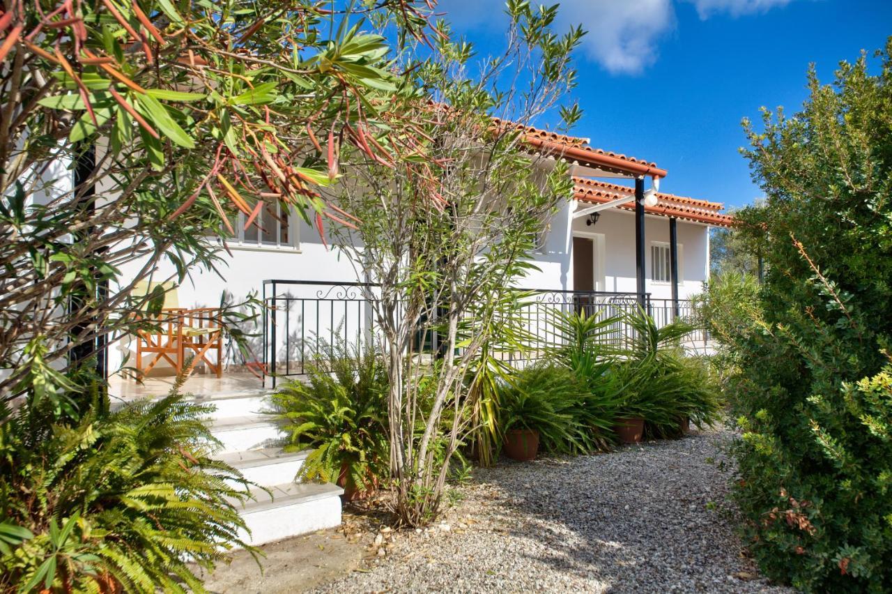Theodora Apartments - Paxos ガイオス エクステリア 写真